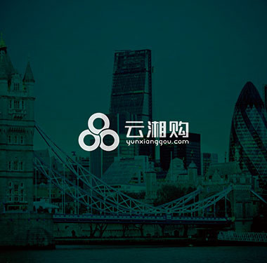 技术开发企业logo设计-云湘购logo设计